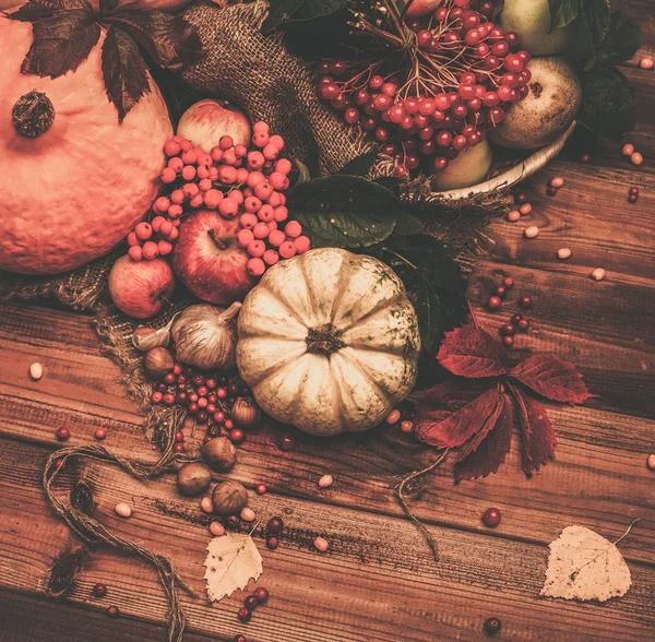 Thanksgiving day autumnal still life — Stock Photo, Image