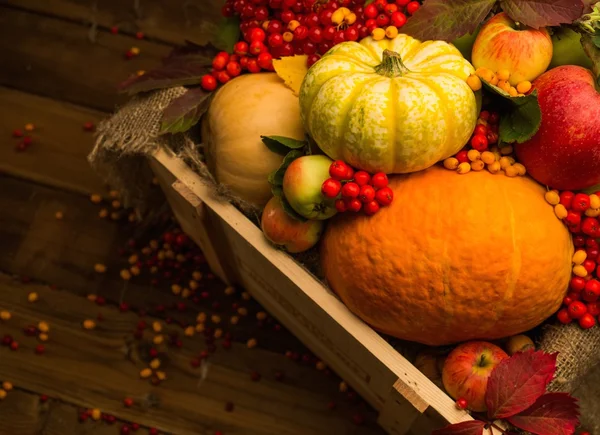 感謝祭の日紅葉の静物 — ストック写真