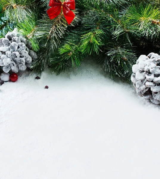 Ramo de árvore de Natal com cones — Fotografia de Stock