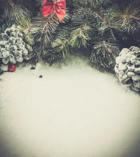 Branche d'arbre de Noël avec cônes — Photo