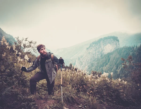 Man met hiking uitrusting wandelen in bergbos — Stockfoto