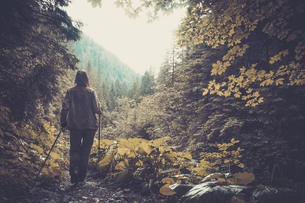 Woman with hiking equipment walking in mountain forest — Stock Photo, Image
