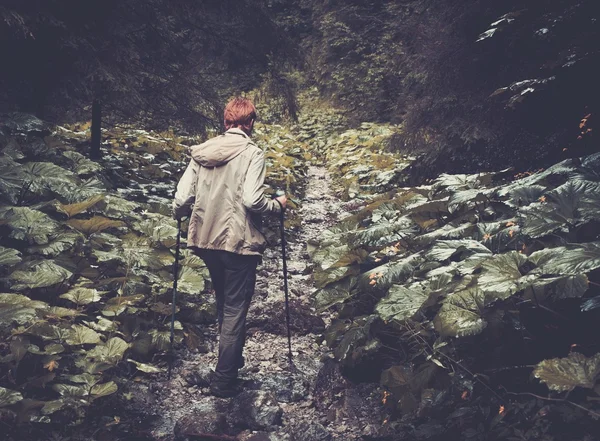Femme avec équipement de randonnée marchant dans la forêt de montagne — Photo