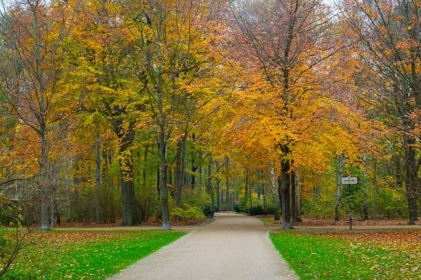 Krásný podzimní park v Berlíně, Německo — Stock fotografie