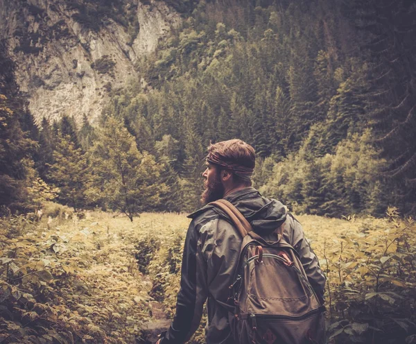 Uomo con attrezzatura escursionistica a piedi nella foresta di montagna — Foto Stock