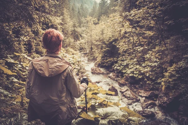 Турист с пешеходными палками, смотрящий на маленькую реку мутон в лесу — стоковое фото