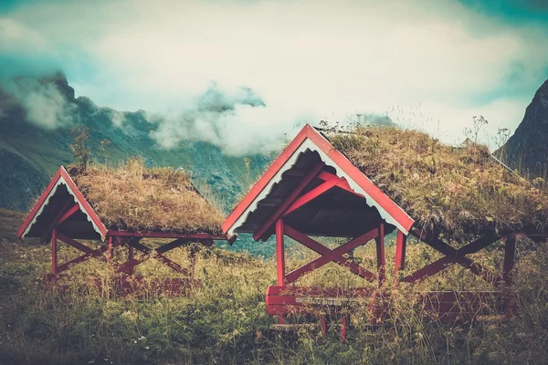 Traditional norwegian arbour standing in a lush — Stock Photo, Image