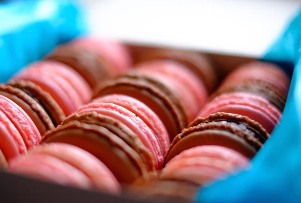 Chutné macaroons v krabici — Stock fotografie