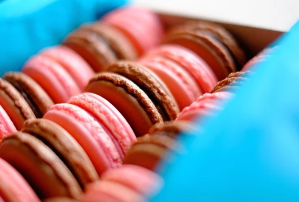Tasty macaroons in a box — Stock Photo, Image