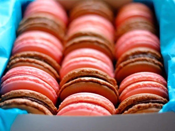 Tasty macaroons in a box — Stock Photo, Image