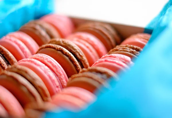 Chutné macaroons v krabici — Stock fotografie