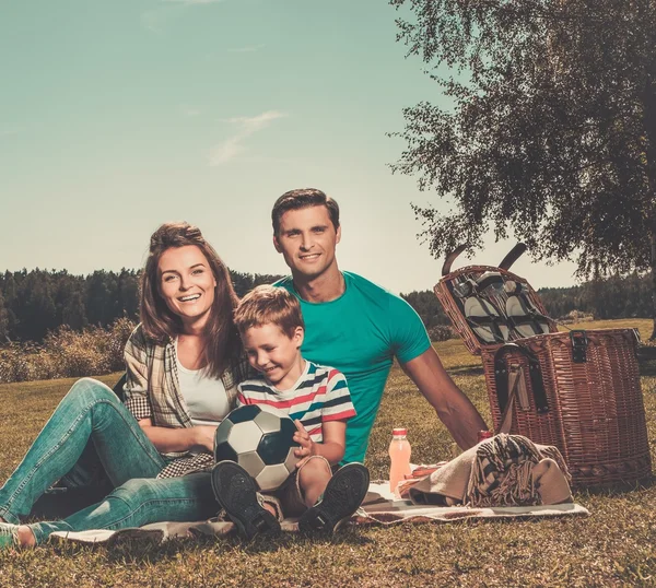 Семья устраивает пикник на открытом воздухе — стоковое фото