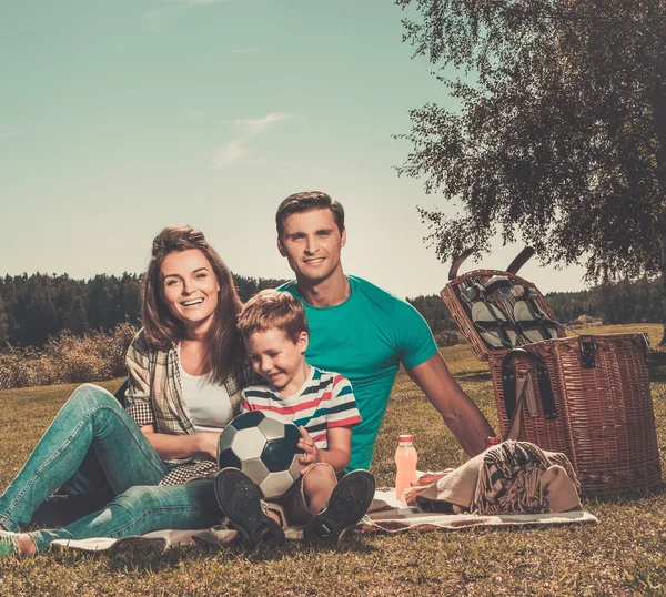 Açık havada olan piknik aile — Stok fotoğraf