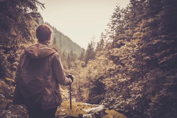 Hiker with hiking poles walking in a mountain forest — Stock Photo, Image