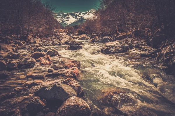 Rio rápido na floresta de montanha — Fotografia de Stock