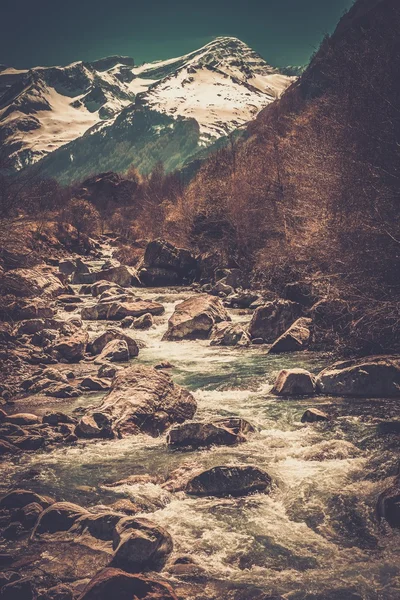 Schneller Fluss im Bergwald — Stockfoto