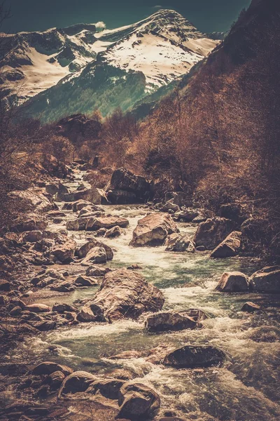 Snelle rivier in bergbos — Stockfoto