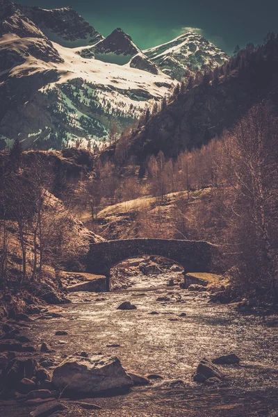 Most přes rychlé řeky v horském lese — Stock fotografie