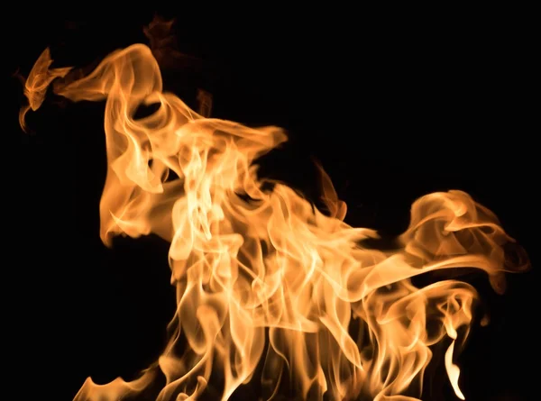 Burning flame on black background — Stock Photo, Image