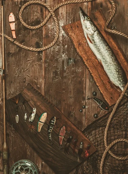 Halászati eszközök és a friss csuka — Stock Fotó