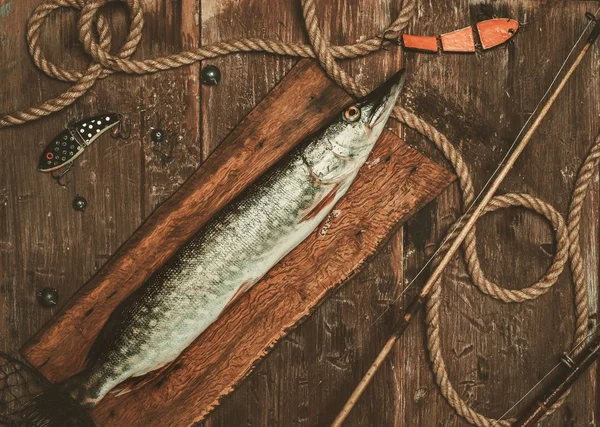 Fishing tools and fresh pike on table — Stock Photo, Image