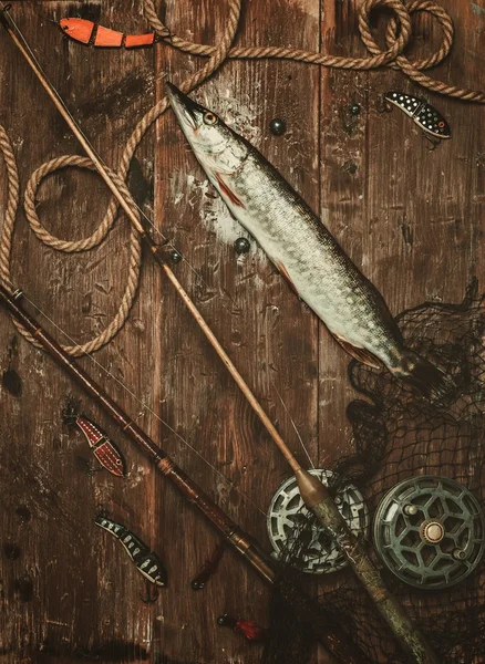 Fishing tools and fresh pike on table — Stock Photo, Image