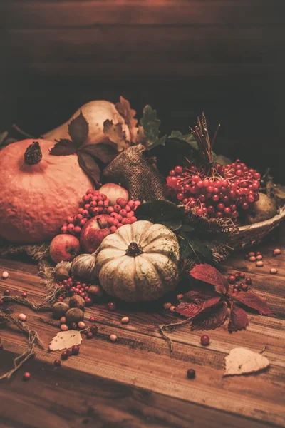 Thanksgiving day autumnal still life — Stock Photo, Image