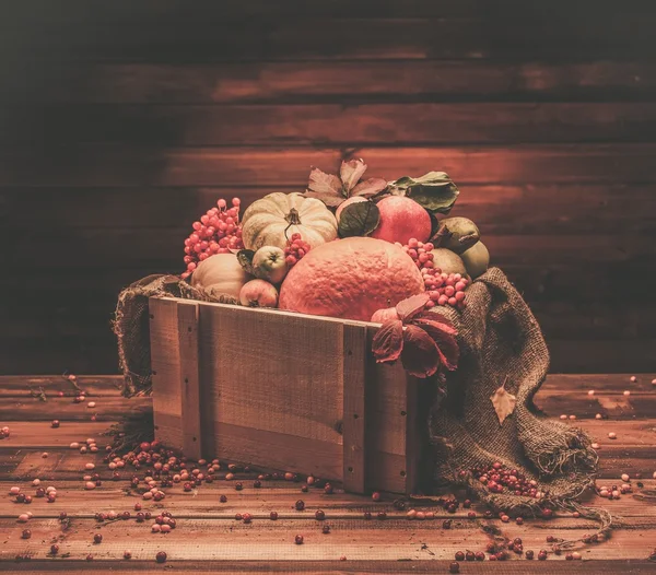 Thanksgiving day autumnal still life — Stock Photo, Image