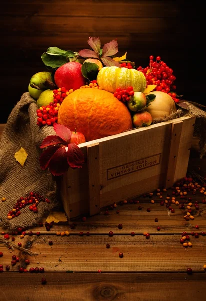 Erntedankfest Herbststillleben — Stockfoto