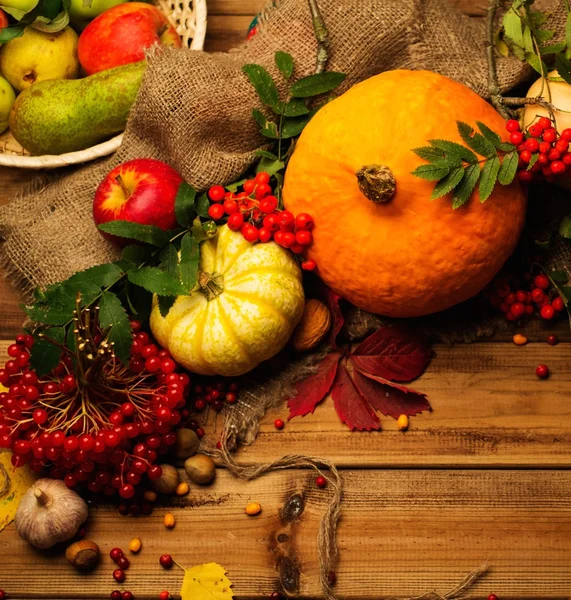 Thanksgiving day herfst stilleven — Stockfoto