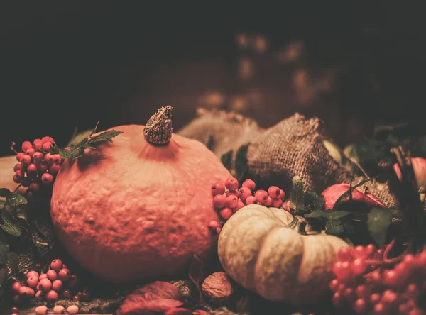 Thanksgiving day autumnal still life — Stock Photo, Image