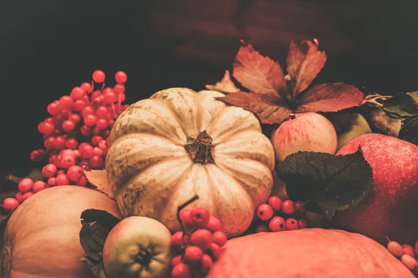 Thanksgiving day autumnal still life — Stock Photo, Image