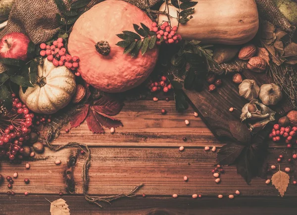 Jesienny Dzień Dziękczynienia martwa — Zdjęcie stockowe