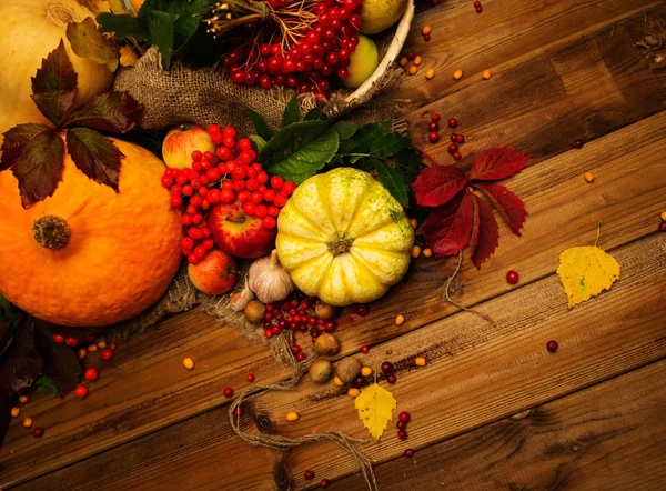 Thanksgiving day autumnal still life — Stock Photo, Image