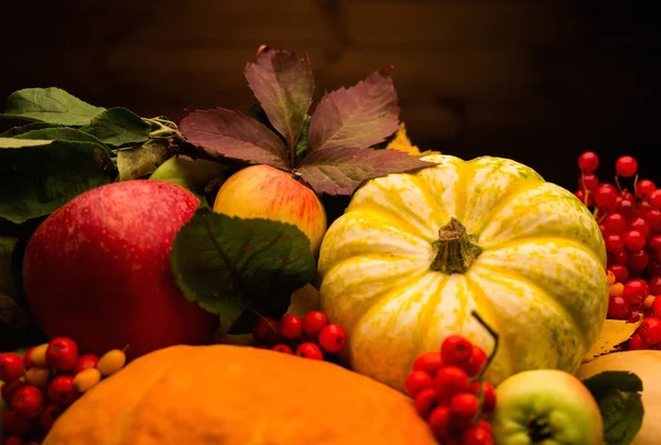 Thanksgiving day herfst stilleven — Stockfoto