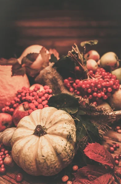 Thanksgiving day autumnal still life — Stock Photo, Image