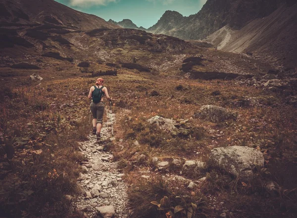 Donna con bastoni da trekking a piedi nel paesaggio montano — Foto Stock