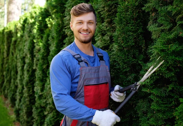 Gardener cutting trees with clippers — Stock Photo, Image