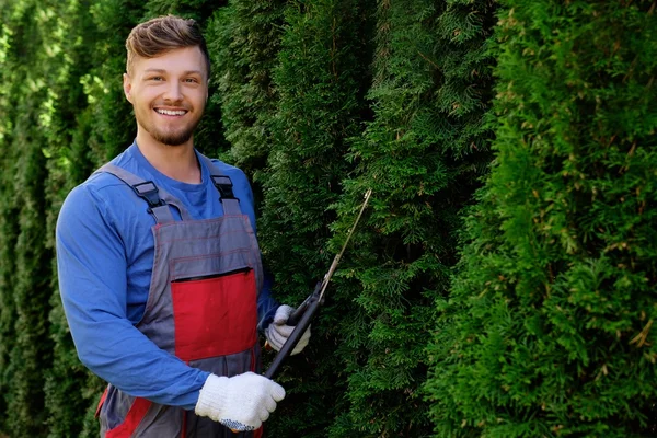 Joven jardinero cortando árboles con tijeras —  Fotos de Stock