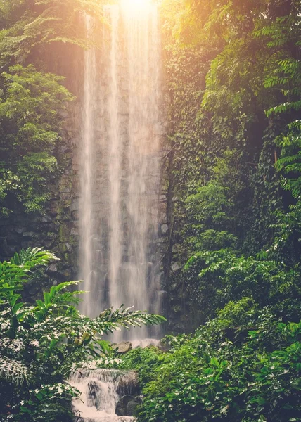 Cachoeira tropical em uma selva — Fotografia de Stock