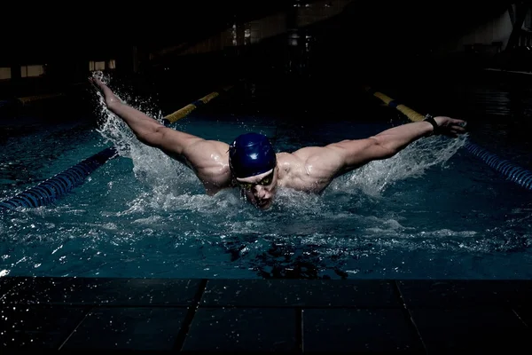 Sportsman swims in a swimming pool — Stock Photo, Image