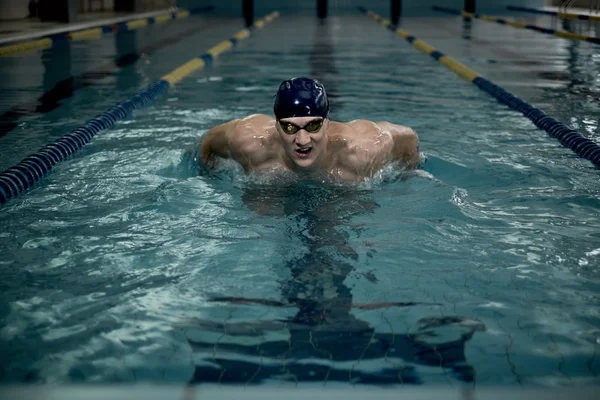Desportista nada em uma piscina — Fotografia de Stock