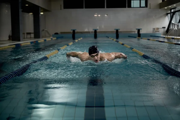 Lo sportivo nuota in una piscina — Foto Stock