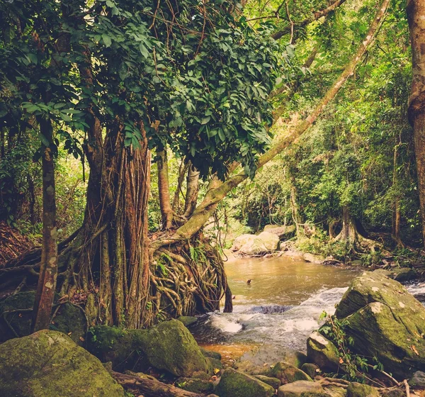 Thousand lingas river. Angkor. Siem Reap — Stock Photo, Image