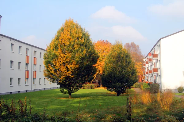 Árvores de outono entre as casas — Fotografia de Stock