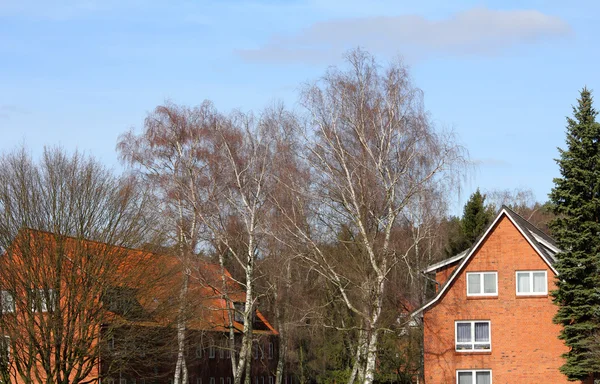 Maison dans la forêt parmi les arbres — Photo