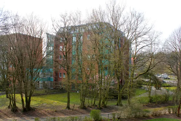 Le bâtiment à plusieurs étages derrière les arbres — Photo