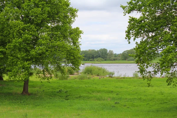 Der Blick auf Wiese und Fluss — Stockfoto