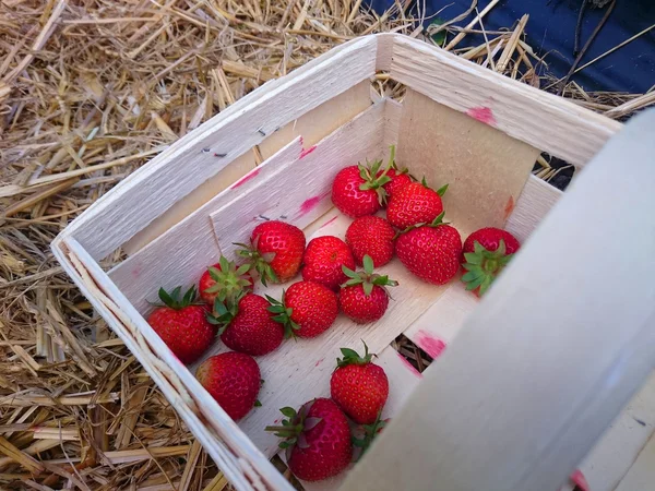 Image of the strawberries in a basket — Stock Photo, Image