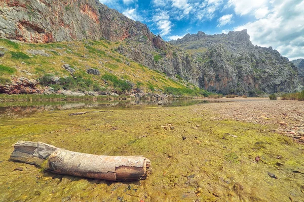 Sa Calobra defne görünümü